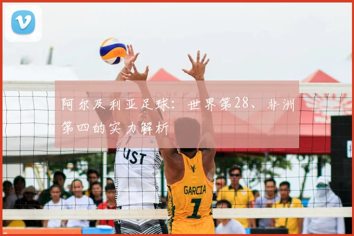 阿尔及利亚足球：世界第28、非洲第四的实力解析
