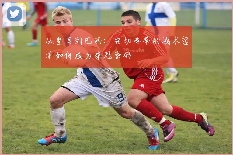 从皇马到巴西：安切洛蒂的战术哲学如何成为夺冠密码